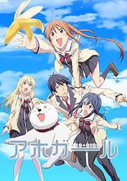 笨女孩