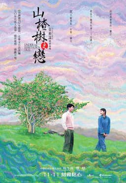 山楂树之恋