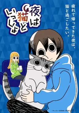 关于养猫我一直是新手